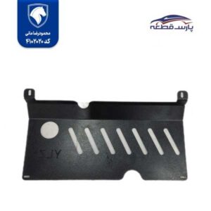 سینی زیر تارا